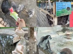 -水上乐园·欢乐世界