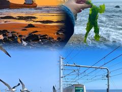 -星海湾跨海大桥