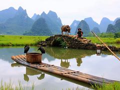 -会仙湿地