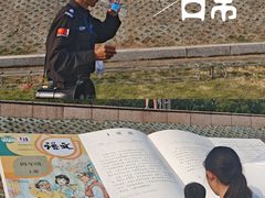 -观潮胜地公园