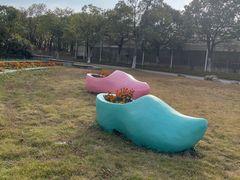 -上海都市菜园