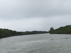 -东寨港红树林旅游区