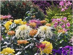 -共青国家森林公园-售票处