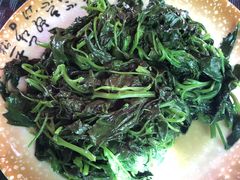 素炒灰挑菜-朱家小厨(红塔西路店)