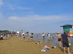 -碧海金沙