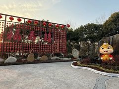 -合肥滨湖国家森林公园