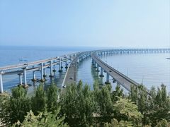 -星海湾跨海大桥
