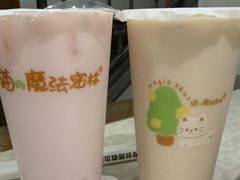 -猫的魔法密林(衣裳街店)