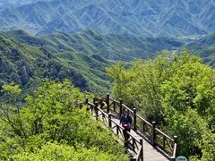 -大岭沟猕猴桃谷风景区