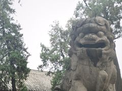 -关林