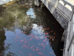 -红螺寺