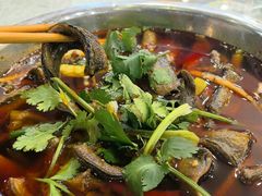 -高坎一品甲鱼庄(两河店)