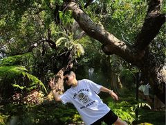 -Chom Cafe and Restaurant