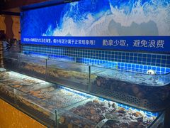 -芭菲盛宴·环球美食(北城国际店)