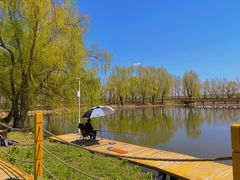 -白渔泡湿地公园