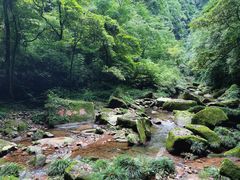 -碧峰峡风景区