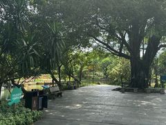 -晓港公园