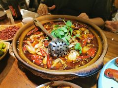 黄焖牛蛙煲-马头巷·食景园(苏州总店)