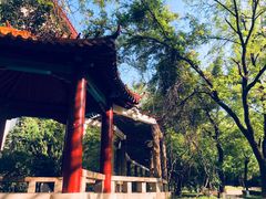 -山东大学(趵突泉校区)