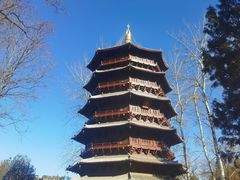 -北京世界公园