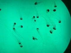 -沈阳海洋探索中心