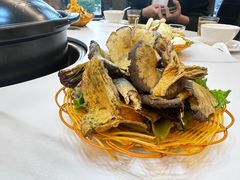 -菌海森林·非遗野生菌火锅(西山区滇池路摩根道店)