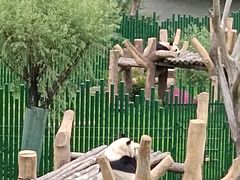 -沈阳森林动物园