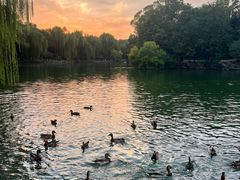 -北京大学百年讲堂