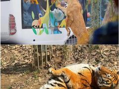 -栾川竹海野生动物园