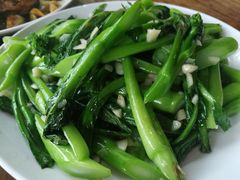 蒜蓉菜心-鲤鱼塘农家山庄