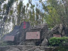 -东莞市大岭山森林公园