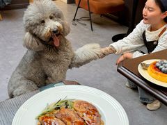 -沏点Trattoria意大利餐厅(新街口店)
