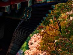 -香山公园