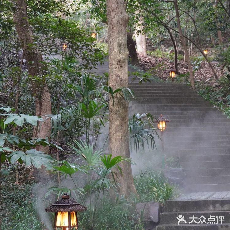 春日的快乐丨氛围感下午茶餐厅🌈