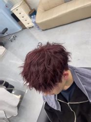 -东方麒麟·潘多拉SALON