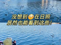 -巧克力渔家.小船海鲜家常菜(万平口店)