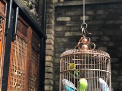 -鱼桥巷·美学川菜