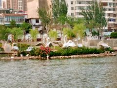 -雁滩公园
