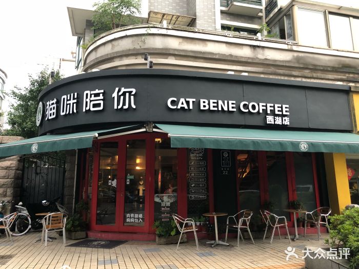 猫咪陪你主题咖啡馆(西湖银泰店)图片 第90张