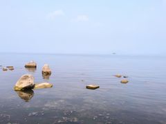 -洱海月湿地公园