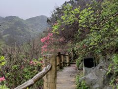 -木兰云雾山