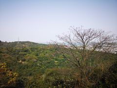 -东山风景区(洞庭东山)