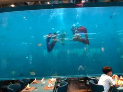 -瑞德姆美人鱼海底演艺主题餐厅(亚龙湾店)
