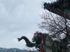 -九华山风景区
