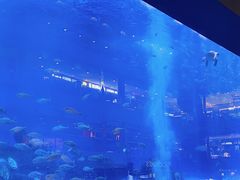 -成都浩海立方海洋公园