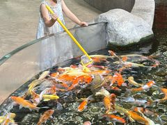 -福州罗源湾海洋世界旅游区