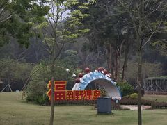 -野狸岛