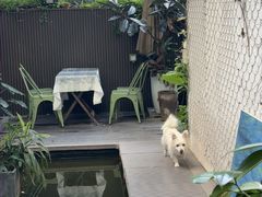 -绿房子方寸咖啡(星海名城店)