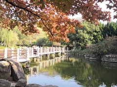 -白马涧龙池景区