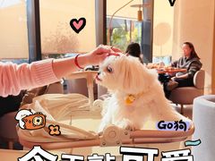 -Bco豆库(新光天地店)